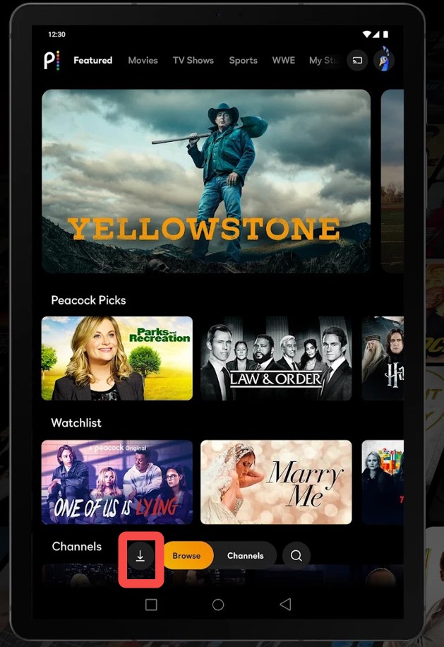 how-to-download-peacock-videos